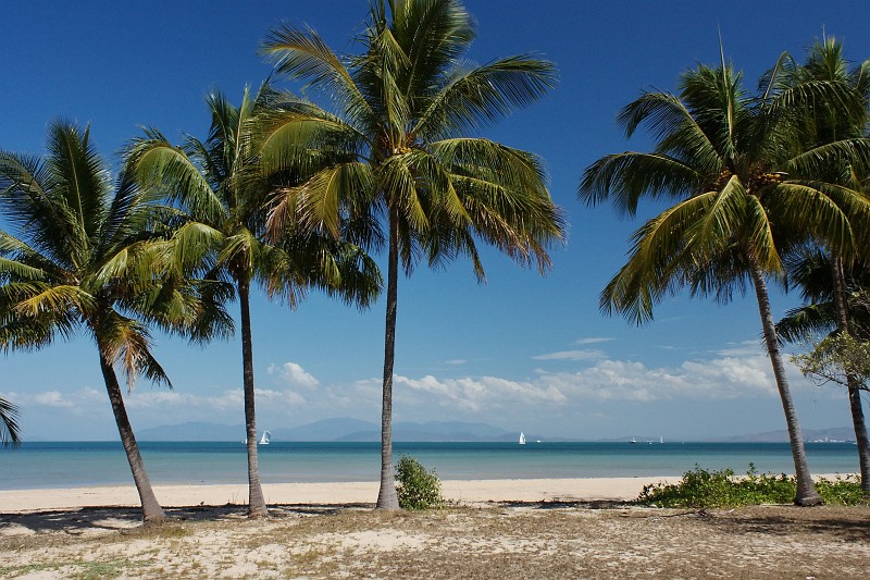 2009-11-06 22-02-41_3.jpg - Magnetic Island